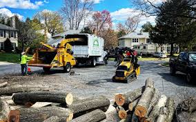 Best Hedge Trimming  in East Grand Rapids, MI